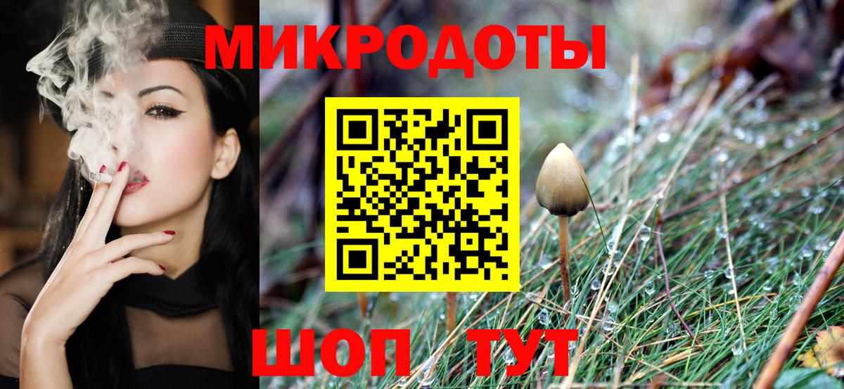 Галлюциногенные грибы Psilocybe Новый Уренгой