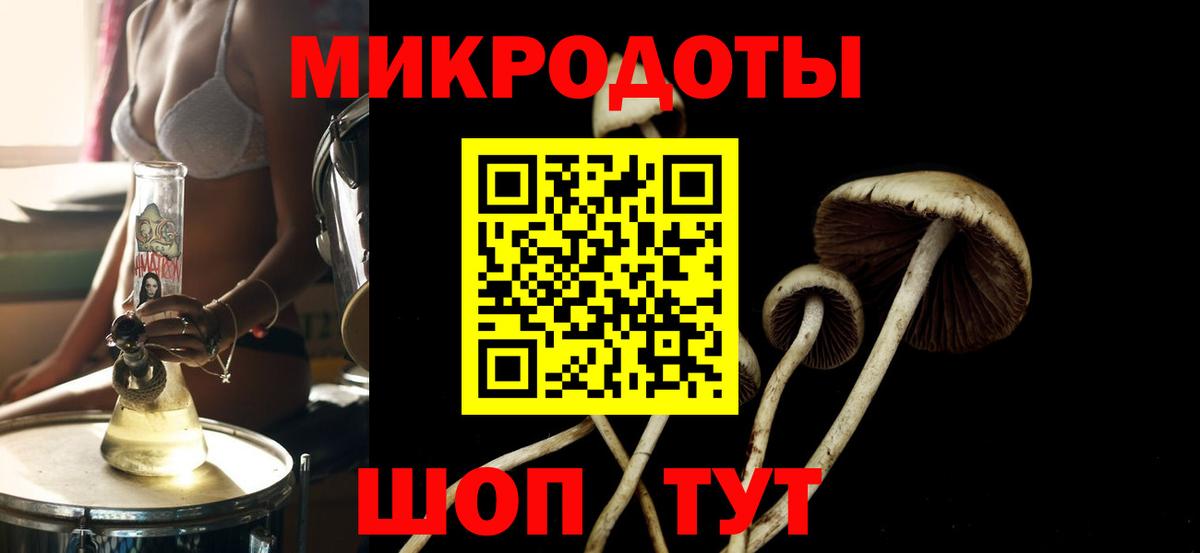 Новый Уренгой  Галлюциногенные грибы прущие грибы  Вход с VPN 